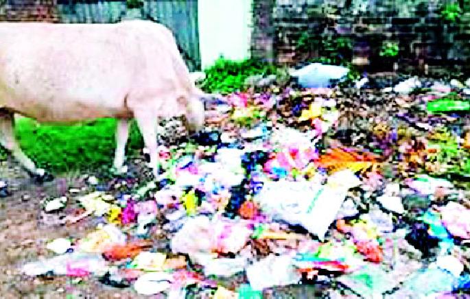 Solid Waste Management Project Decline | घनकचरा व्यवस्थापन प्रकल्प ठरला अडसर Solid Waste Management Project Decline | घनकचरा व्यवस्थापन प्रकल्प ठरला अडसर