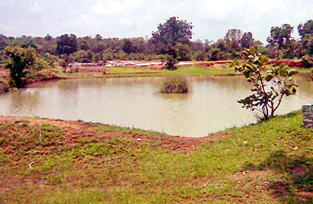 84.24 lakhs grant for 174 farmers | १७४ शेततळ्यांसाठी ८४.२४ लाखांचे अनुदान