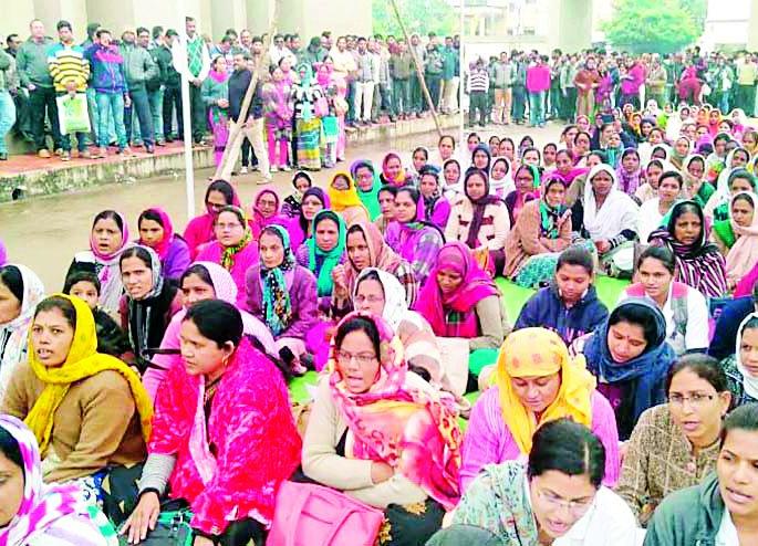Shocked in government offices due to the closure | संपामुळे शासकीय कार्यालयांमध्ये शुकशुकाट Shocked in government offices due to the closure | संपामुळे शासकीय कार्यालयांमध्ये शुकशुकाट