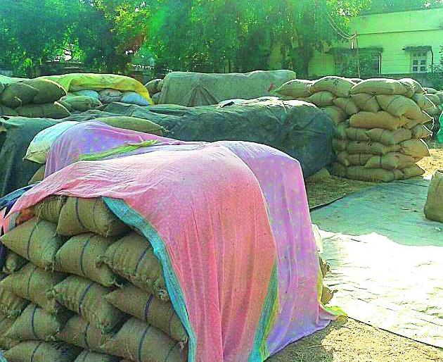 Decrease in purchasing of paddy in the district | जिल्ह्यात धान खरेदीत घट Decrease in purchasing of paddy in the district | जिल्ह्यात धान खरेदीत घट