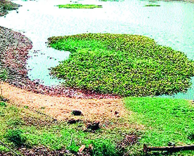 Power supply in Godavari area is broken | गोदाकाठ भागात वीजपुरवठा खंडित