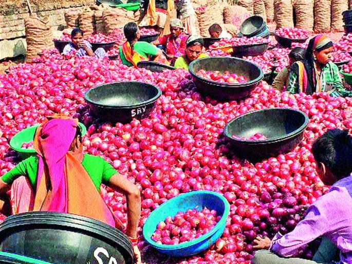 World Women's Day: 'Khetcha Bhaar' on 'Onion' in Khala! | जागतिक महिला दिन : ‘त्यांच्या’ गावीही नाही कांदा खळ्यावर ‘कष्टाची भाकर’! World Women's Day: 'Khetcha Bhaar' on 'Onion' in Khala! | जागतिक महिला दिन : ‘त्यांच्या’ गावीही नाही कांदा खळ्यावर ‘कष्टाची भाकर’!