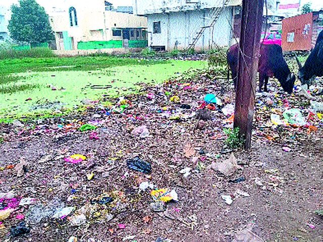 Increased infestation of mosquitoes, mosquitoes due to rainwater harvested | पावसाच्या साचलेल्या पाण्यामुळे डास, मच्छरांचा वाढला उपद्रव Increased infestation of mosquitoes, mosquitoes due to rainwater harvested | पावसाच्या साचलेल्या पाण्यामुळे डास, मच्छरांचा वाढला उपद्रव