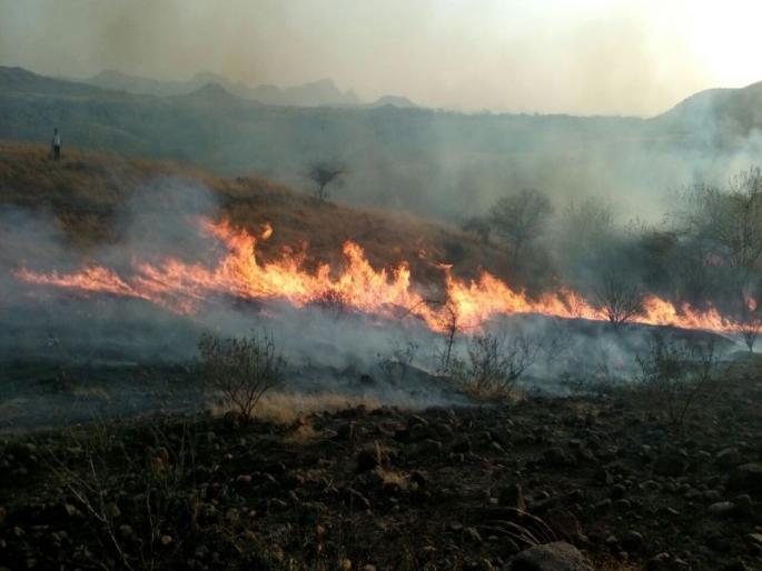 A forest of Dongargarh forest fire | डोंगरगावच्या वनराई डोंगराला आग A forest of Dongargarh forest fire | डोंगरगावच्या वनराई डोंगराला आग