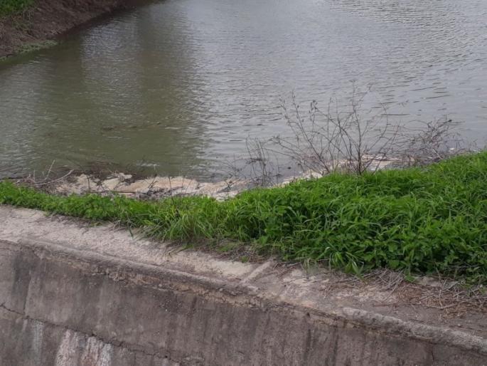 Action on 250 electric pumps, which supply unauthorized water to Nandgav | नांदगावी अनधिकृत पाणीउपसा करणाऱ्या २५० वीज पंपांवर कारवाई Action on 250 electric pumps, which supply unauthorized water to Nandgav | नांदगावी अनधिकृत पाणीउपसा करणाऱ्या २५० वीज पंपांवर कारवाई