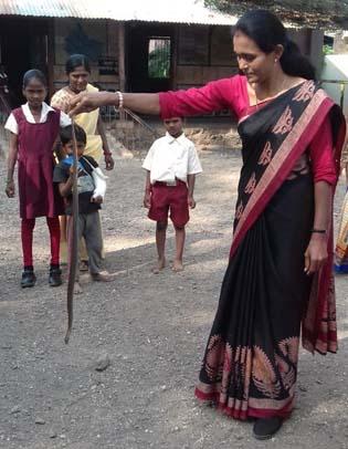 The snake has taken the awareness of ... | सापाला पकडून केली जनजागृती...