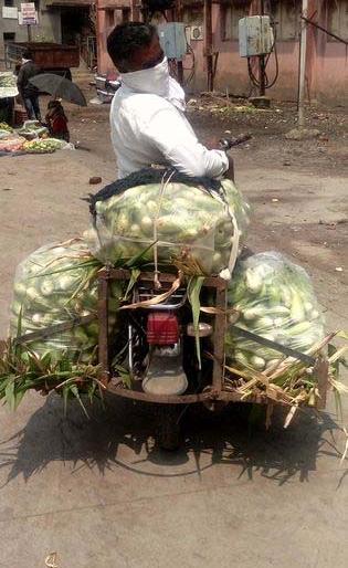 Due to non-understanding of the government's ordinance, the farmers of the state | शासनाचा अध्यादेश कृषी विभागाने समजून न घेतल्याने शेतक:यांची दैना