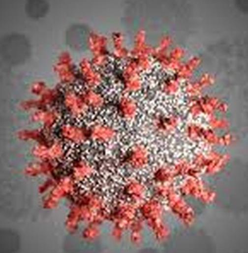 Reports of 21 people in Nandurbar district are positive | नंदुरबार जिल्ह्यात २१ जणांचे अहवाल पॉझिटिव्ह Reports of 21 people in Nandurbar district are positive | नंदुरबार जिल्ह्यात २१ जणांचे अहवाल पॉझिटिव्ह