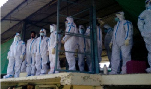 One and a half lakh hens will be killed in four days | चार दिवसात होईल दीड लाख कोंबड्यांचे किलींग One and a half lakh hens will be killed in four days | चार दिवसात होईल दीड लाख कोंबड्यांचे किलींग