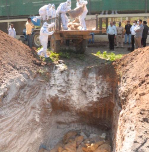 Compensate according to market price | बाजार भावानुसार भरपाई मिळावी Compensate according to market price | बाजार भावानुसार भरपाई मिळावी