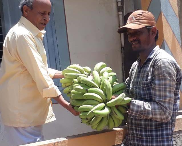 Distribution of bananas from the farmer at Prakash | प्रकाशा येथे शेतकऱ्याकडून केळीचे घड वाटप