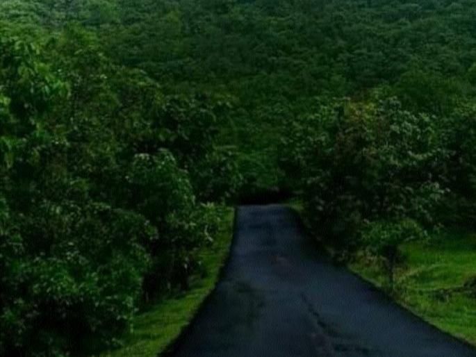 Gautala Sanctuary is covered with greenery | हिरवाईने नटले आहे गौताळा अभयारण्य Gautala Sanctuary is covered with greenery | हिरवाईने नटले आहे गौताळा अभयारण्य