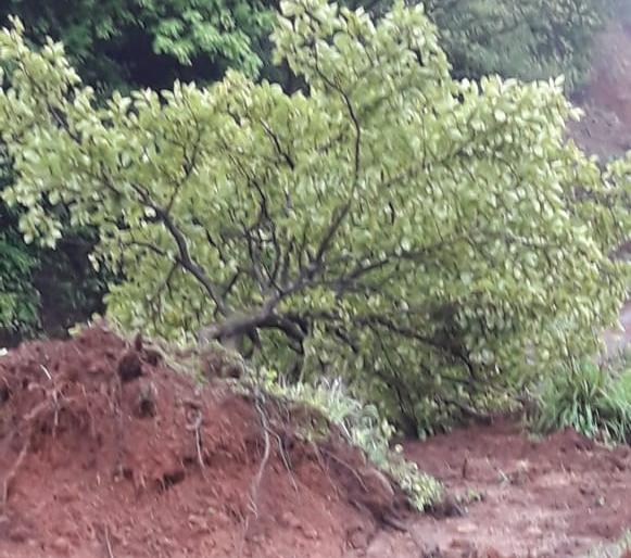 Waiting for the tourists to visit Vajrai Waterfall | वजराई धबधबा पाहण्यासाठी गेलेल्या पर्यटकांचा भांबवलीत मुक्काम Waiting for the tourists to visit Vajrai Waterfall | वजराई धबधबा पाहण्यासाठी गेलेल्या पर्यटकांचा भांबवलीत मुक्काम