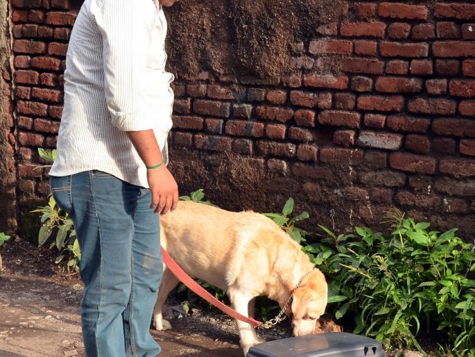 Sensation due to unavoidable bag | बेवारस बॅगमुळे काहीकाळ खळबळ Sensation due to unavoidable bag | बेवारस बॅगमुळे काहीकाळ खळबळ