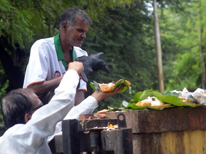 ... and get relief | ...आणि लाभला काकस्पर्श ... and get relief | ...आणि लाभला काकस्पर्श