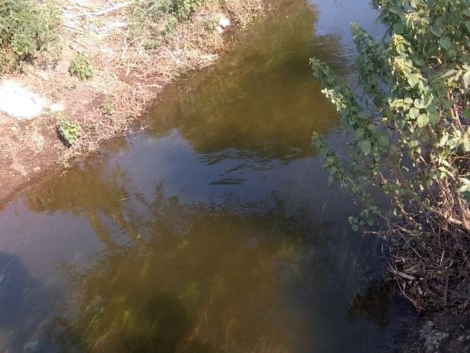 Parbhani: Water came from Hadhguna distribution center | परभणी: हादगाव वितरिकेला आले पाणी Parbhani: Water came from Hadhguna distribution center | परभणी: हादगाव वितरिकेला आले पाणी