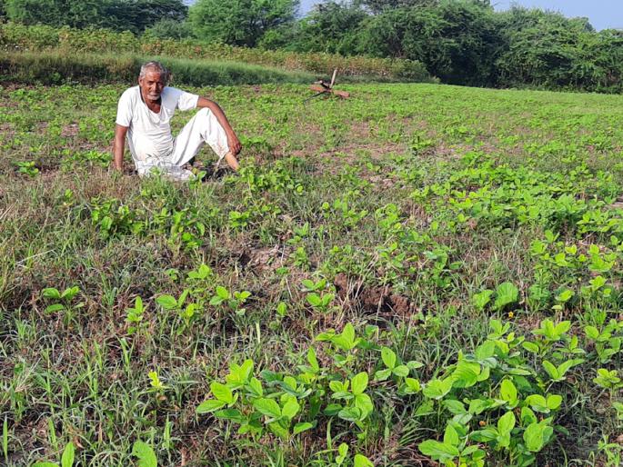 Parbhani: More than 1 seasonal money from 4 villages | परभणी: ८४३ गावांची ५० पेक्षा जास्त हंगामी पैसेवारी