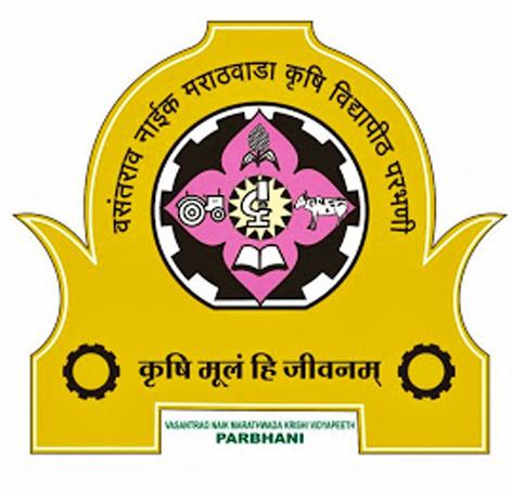 Parbhani: Tender sanctioned at 43 percent lower rate | परभणी : ४३ टक्के कमी दराने मंजूर केली निविदा Parbhani: Tender sanctioned at 43 percent lower rate | परभणी : ४३ टक्के कमी दराने मंजूर केली निविदा