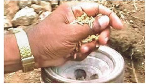 Parbhani: 59% area of Kharif fears to remain depressed | परभणी : खरिपाचे ५९ टक्के क्षेत्र पडिक राहण्याची भीती Parbhani: 59% area of Kharif fears to remain depressed | परभणी : खरिपाचे ५९ टक्के क्षेत्र पडिक राहण्याची भीती