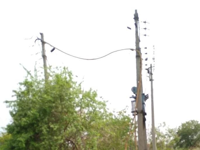 Bullock death due to shock at Lodri in Jamner Taluka | जामनेर तालुक्यातील लोंढ्री येथे शॉक लागल्याने बैलाचा मृत्यू Bullock death due to shock at Lodri in Jamner Taluka | जामनेर तालुक्यातील लोंढ्री येथे शॉक लागल्याने बैलाचा मृत्यू