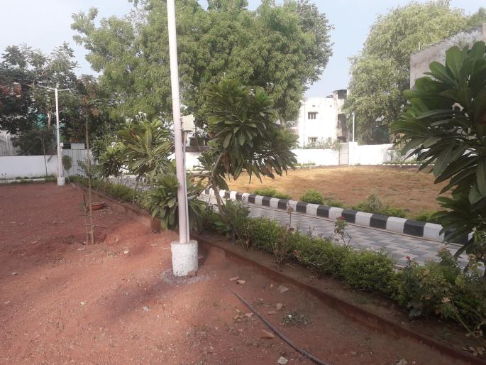 Plants in the garden are saved using drain water | नाल्याच्या पाण्याचा वापर करून वाचवली बागेतील झाडे