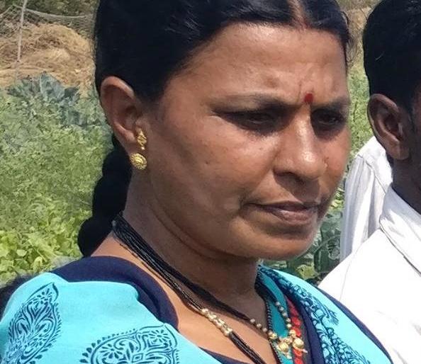 Take a look at poison free fruits, vegetable production! | विषमुक्त फळे, भाजीपाला उत्पादनाचा घेतला ध्यास!