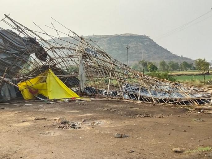 Crops on 14 hectares in water | १४ हेक्टरवरील पिके पाण्यात, वीज कोसळून चार जनावरे दगावली Crops on 14 hectares in water | १४ हेक्टरवरील पिके पाण्यात, वीज कोसळून चार जनावरे दगावली