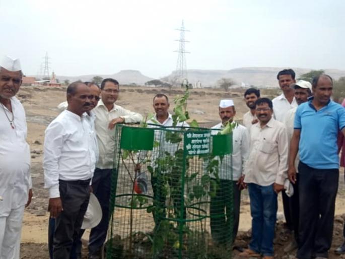 Plantation of more than 2 thousand trees will take place in Patole in a week | पाटोळेत आठवडाभरात होणार २ हजाराहून अधिक वृक्षांची लागवड Plantation of more than 2 thousand trees will take place in Patole in a week | पाटोळेत आठवडाभरात होणार २ हजाराहून अधिक वृक्षांची लागवड