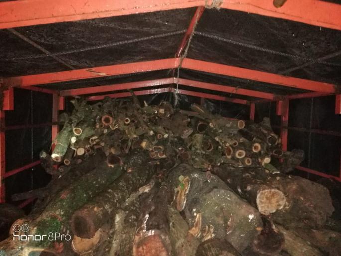 Two arrested for smuggling timber from Yeoor forest | येऊरच्या जंगलातून बेकायदेशीरपणे लाकडांची तस्करी करणाऱ्या दोघांना अटक Two arrested for smuggling timber from Yeoor forest | येऊरच्या जंगलातून बेकायदेशीरपणे लाकडांची तस्करी करणाऱ्या दोघांना अटक