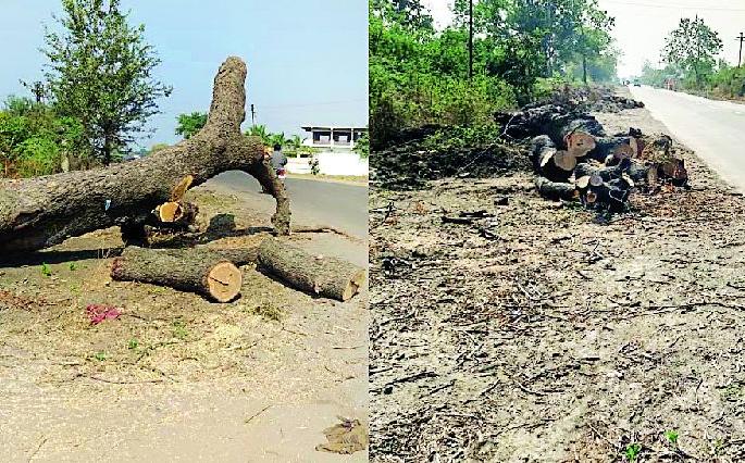 Road to wood | रस्त्यालगतची लाकडे ठरताहेत जीवघेणी