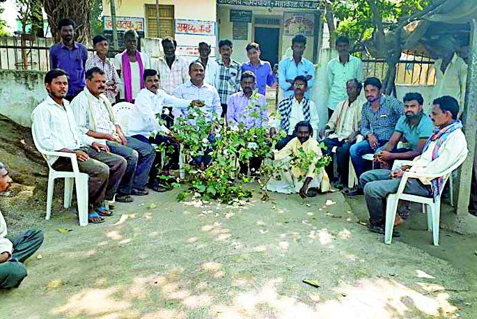Farmers' suicide increased due to lack of research on BT | बी.टी.वरील संशोधनाअभावी शेतकरी आत्महत्या वाढल्या Farmers' suicide increased due to lack of research on BT | बी.टी.वरील संशोधनाअभावी शेतकरी आत्महत्या वाढल्या