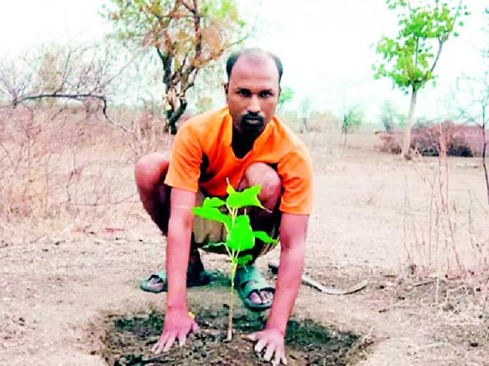 Aim for the purpose of tree plantation and pick-up | ध्येयवेड्या तरुणाचा वृक्षलागवड आणि संगोपनाचा संकल्प Aim for the purpose of tree plantation and pick-up | ध्येयवेड्या तरुणाचा वृक्षलागवड आणि संगोपनाचा संकल्प