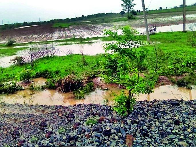 Most of the storms in Samudrapula | समुद्रपूरला पावसाचा सर्वाधिक फटका Most of the storms in Samudrapula | समुद्रपूरला पावसाचा सर्वाधिक फटका