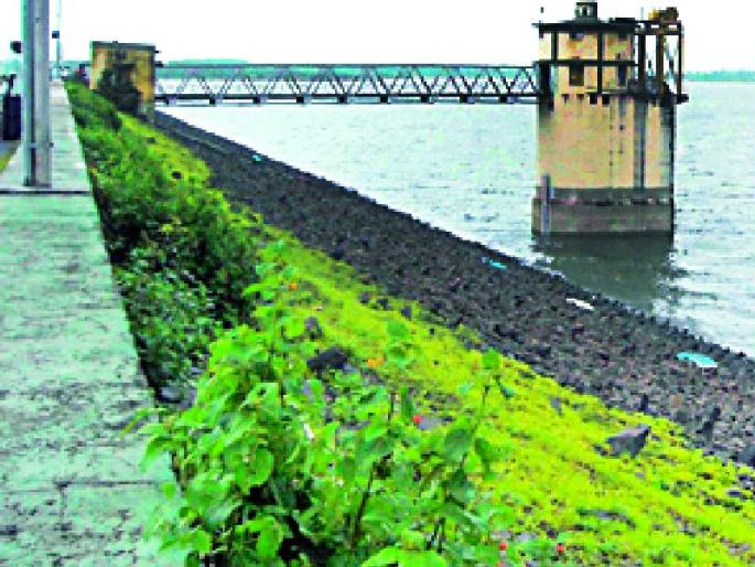 32 percent water stock in Isapur dam | इसापूर धरणात ३२ टक्के जलसाठा 32 percent water stock in Isapur dam | इसापूर धरणात ३२ टक्के जलसाठा