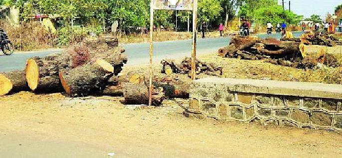 Fear of Accident due to Trees | वृक्षतोडीमुळे अपघाताची भीती Fear of Accident due to Trees | वृक्षतोडीमुळे अपघाताची भीती