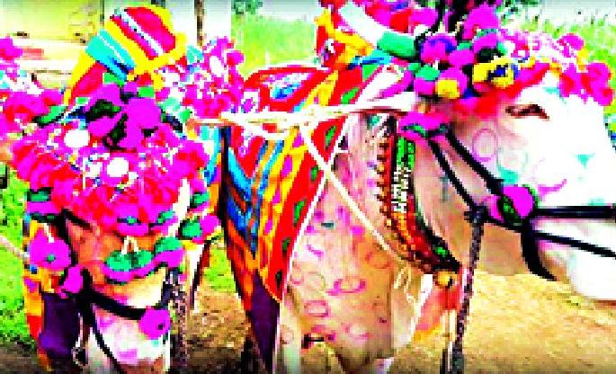 The Chief Minister has given loan waiver | मुख्यमंत्र्यांनी देल्ली हो कर्जमाफीची जडीबुटी The Chief Minister has given loan waiver | मुख्यमंत्र्यांनी देल्ली हो कर्जमाफीची जडीबुटी