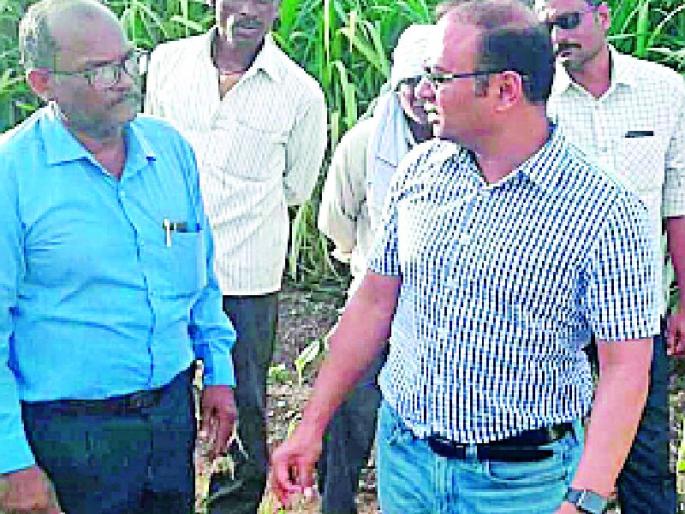 Follow-up for Silk Base Purchase Center | रेशीम कोष खरेदी केंद्रासाठी पाठपुरावा Follow-up for Silk Base Purchase Center | रेशीम कोष खरेदी केंद्रासाठी पाठपुरावा