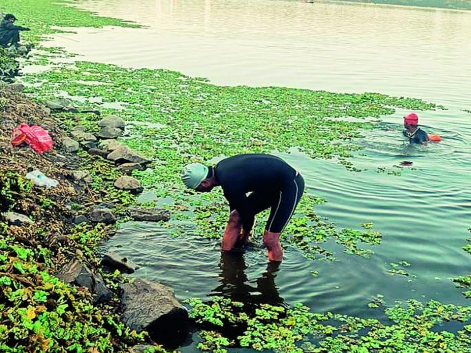 All lakes including Ambazari were contaminated by 'Ecarnia' | ‘ईकाॅर्निया’ने केले अंबाझरीसह सर्व तलाव दूषित All lakes including Ambazari were contaminated by 'Ecarnia' | ‘ईकाॅर्निया’ने केले अंबाझरीसह सर्व तलाव दूषित