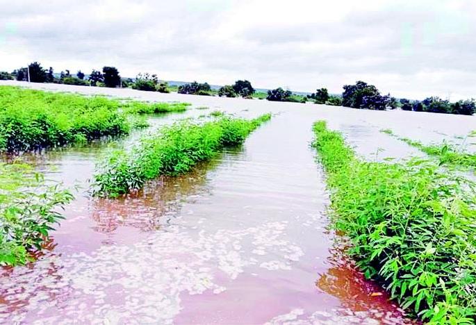 Flood in Arvi taluka | आर्वी तालुक्यात पुराचा हाहाकार