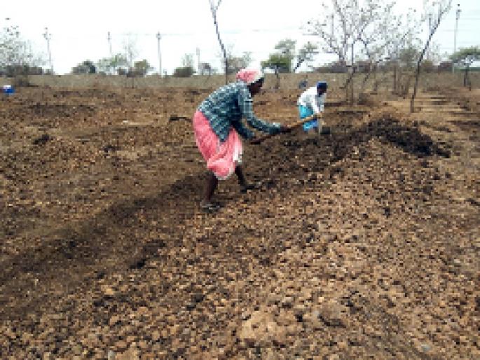 Jalna district has planted 16,000 trees this year | जालना जिल्ह्यात यावर्षी १६ हजार झाडांची लागवड Jalna district has planted 16,000 trees this year | जालना जिल्ह्यात यावर्षी १६ हजार झाडांची लागवड