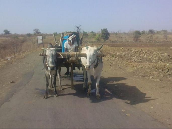 Pay 200 Rupees for water Drum; Status in Wardha District | पाणी घ्या २०० रूपये ड्रम; वर्धा जिल्ह्यातील स्थिती Pay 200 Rupees for water Drum; Status in Wardha District | पाणी घ्या २०० रूपये ड्रम; वर्धा जिल्ह्यातील स्थिती