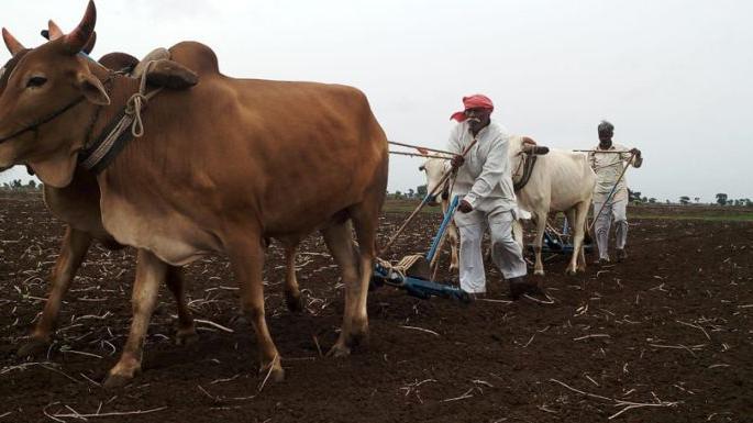 Farmers are busy in farms in Amravati district; | अमरावती जिल्ह्यात खरीपपूर्व मशागतीला वेग; पैशांची जुळवाजुळव Farmers are busy in farms in Amravati district; | अमरावती जिल्ह्यात खरीपपूर्व मशागतीला वेग; पैशांची जुळवाजुळव