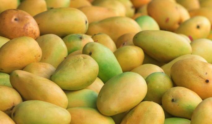 Due to the storm less mangoes in Nagpur market | नागपुरात आवक घटल्याने आंबा खातोय भाव