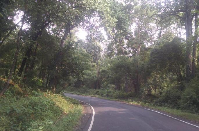 The width of the National Highway in Gadchiroli was caught 5.5 meters | गडचिरोलीत राष्ट्रीय महामार्गाची रूंदी अडकली ५.५ मीटरमध्ये