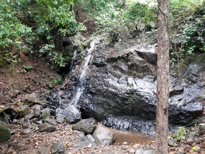 Another tourist attraction in Sawantwadi taluka has been received from Malgaon waterfowl |  सावंतवाडी तालुक्यात आणखी एका पर्यटनस्थळाची भर, मळगाव धबधब्याला मिळाली चालना Another tourist attraction in Sawantwadi taluka has been received from Malgaon waterfowl |  सावंतवाडी तालुक्यात आणखी एका पर्यटनस्थळाची भर, मळगाव धबधब्याला मिळाली चालना