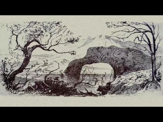 Optical illusion : Can you spot 10 animals in this image quiz | Optical Illusion: फोटोत लपले आहेत काही पक्षी अन् काही प्राणी, शोधणारे ठरतील जीनिअस Optical illusion : Can you spot 10 animals in this image quiz | Optical Illusion: फोटोत लपले आहेत काही पक्षी अन् काही प्राणी, शोधणारे ठरतील जीनिअस