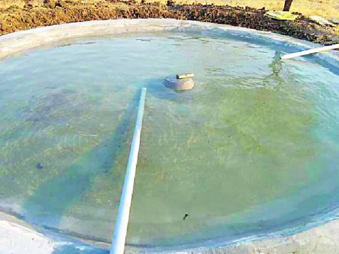 36 Thirst of wild animals in Panvatha | ३६ पाणवठे भागवितात वन्यप्राण्यांची तहान