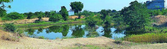 Not the canal, it is rain water | कालव्याचे नव्हे, हे तर पावसाचे पाणी Not the canal, it is rain water | कालव्याचे नव्हे, हे तर पावसाचे पाणी