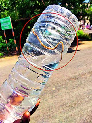 Narrow-shaped germs in the tap water in government colonies | शासकीय वसाहतीत नळाच्या पाण्यात नारुसदृश जंतू Narrow-shaped germs in the tap water in government colonies | शासकीय वसाहतीत नळाच्या पाण्यात नारुसदृश जंतू