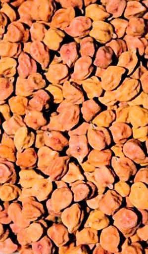 Marketing fatwas, 25 percent of productivity purchase | पणनचा फतवा, उत्पादकतेच्या २५ टक्केच खरेदी Marketing fatwas, 25 percent of productivity purchase | पणनचा फतवा, उत्पादकतेच्या २५ टक्केच खरेदी